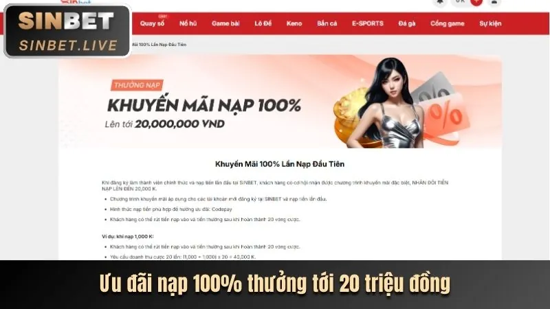 Trò chơi Video Slot 5 cuộn